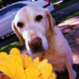 Meet your Posher, Brianne